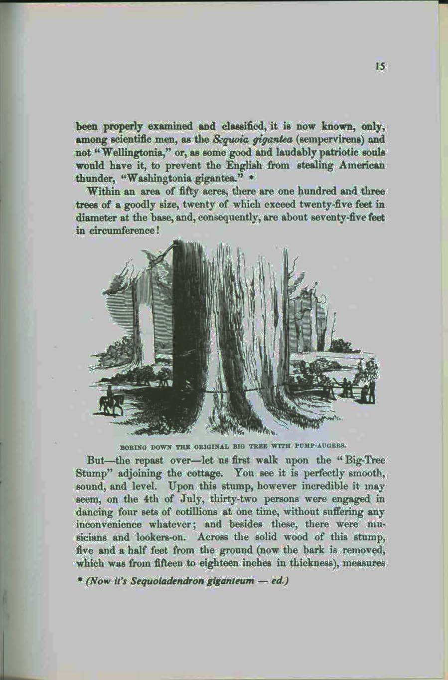 THE MAMMOTH TREES OF CALAVERAS.vist0050e
